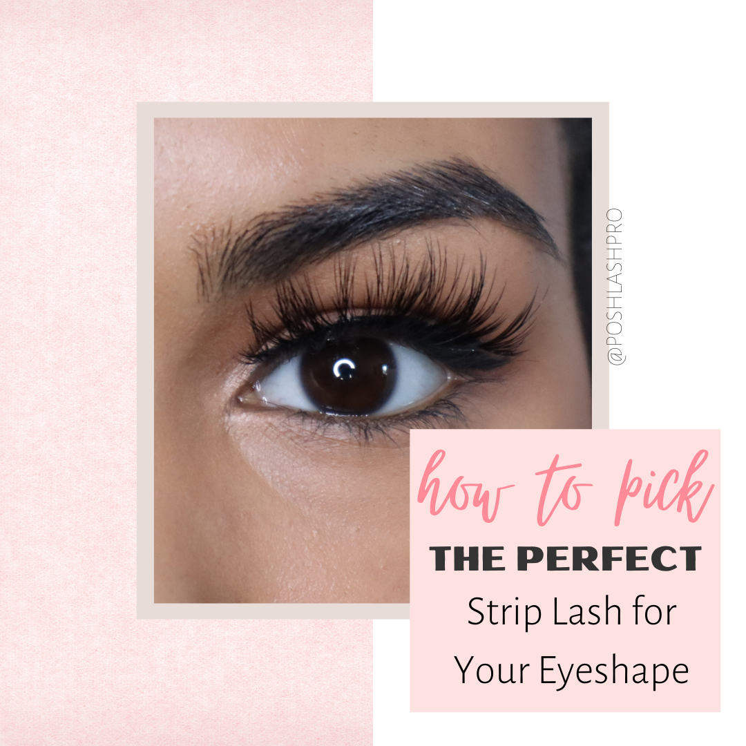 PLP lash guide with close up with false eyelashes