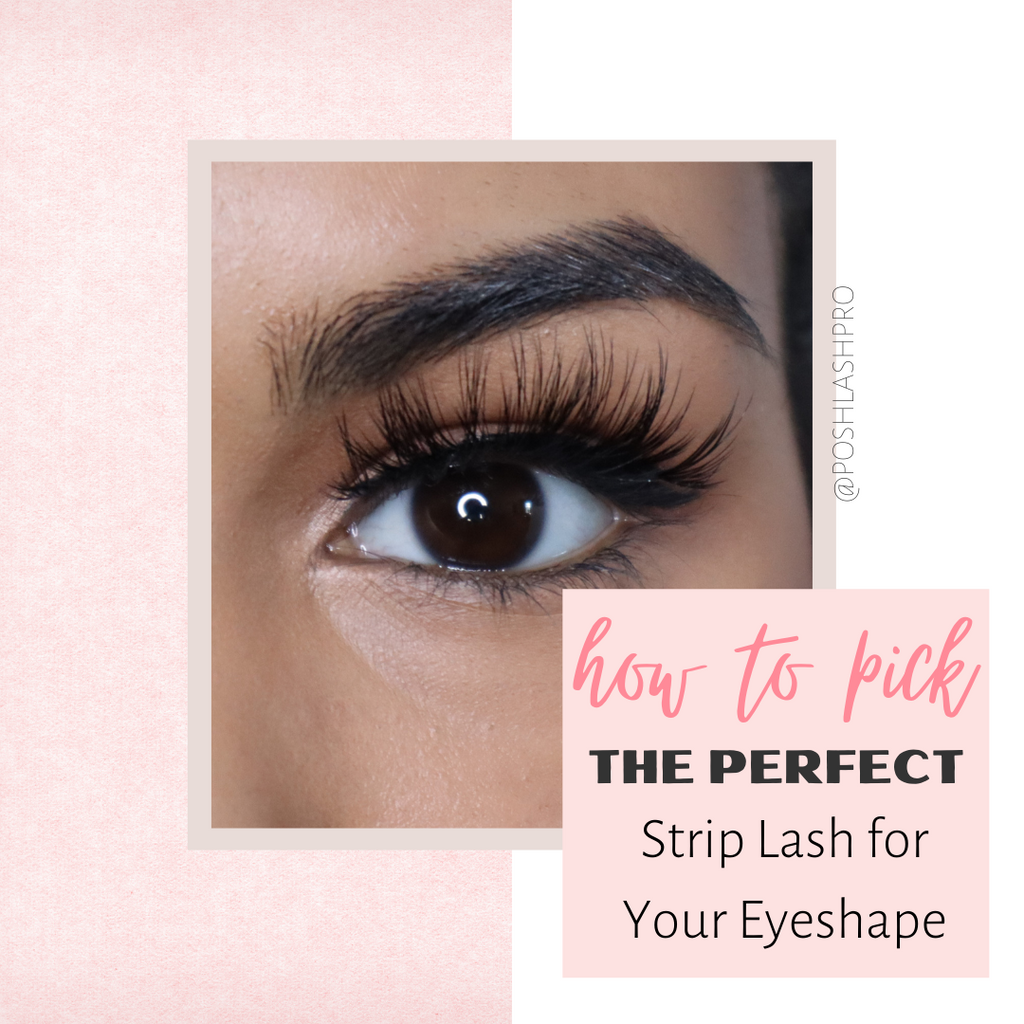 How to Pick the Perfect Posh Lash Pro Strip Lash for your Eye Shape