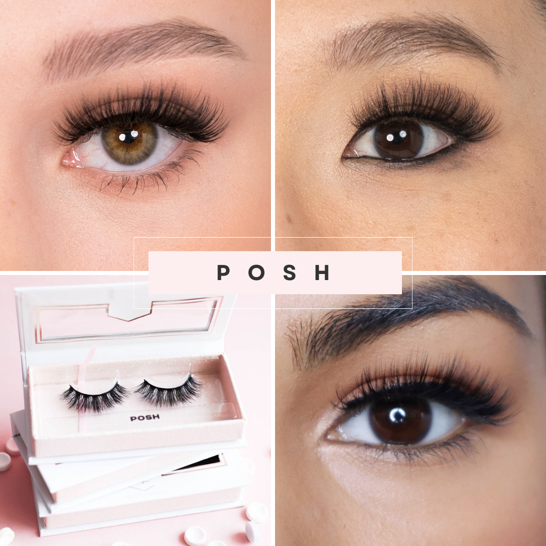 Posh Lashes Posh Lash Professional Inc